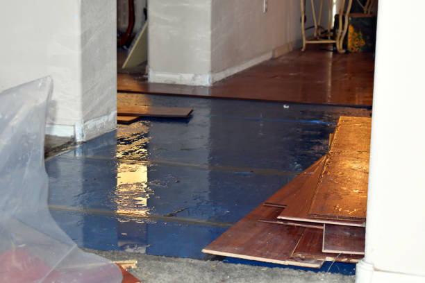 Professional Water Extraction technician working in Black Diamond, FL
